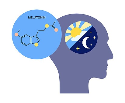 멜라토닌 5mg 효과 시차 적응