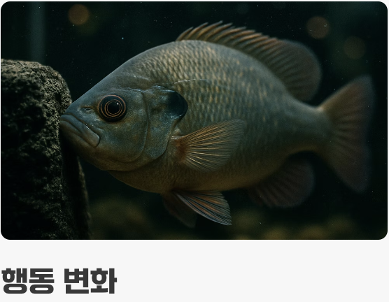 놓치면 안 될 첫 번째 신호
