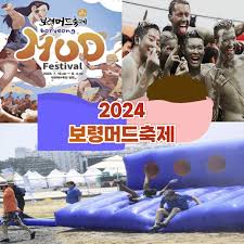 2024 보령 머드축제