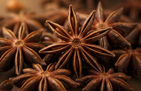 팔각(八角, Star Anise)의 이해 관련 사진