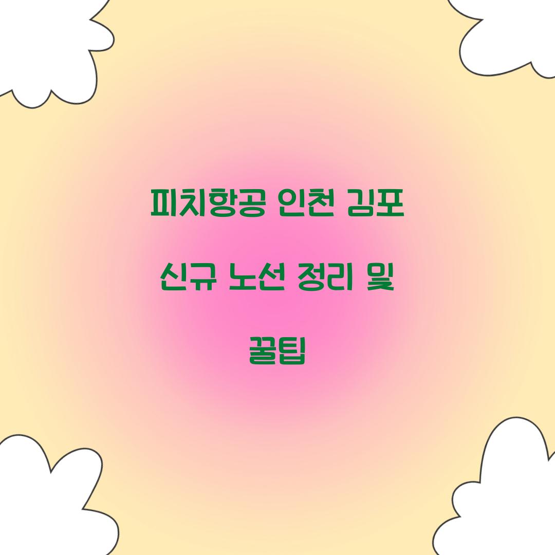 피치항공 인천 김포