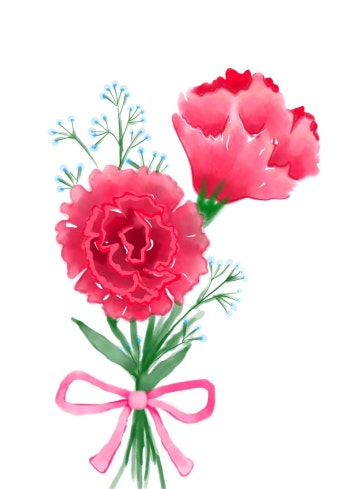 어버이날 카네이션