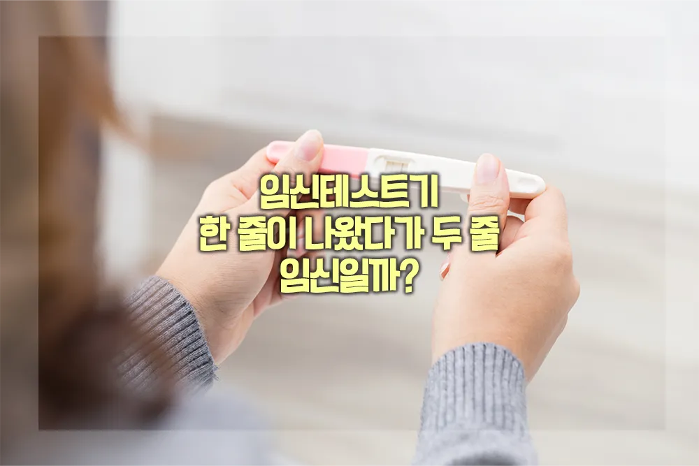 임신테스트기 한줄 두줄 임신