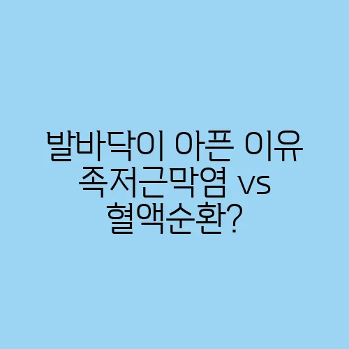 발바닥이 아픈 이유 족저근막염 vs 혈액순환?