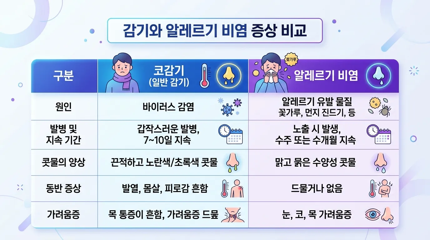 감기와 알레르기 비염 증상 비교 인포그래픽