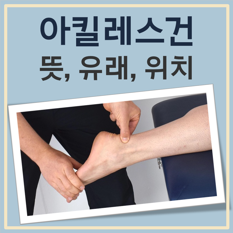 아킬레스건 뜻, 유래, 위치
