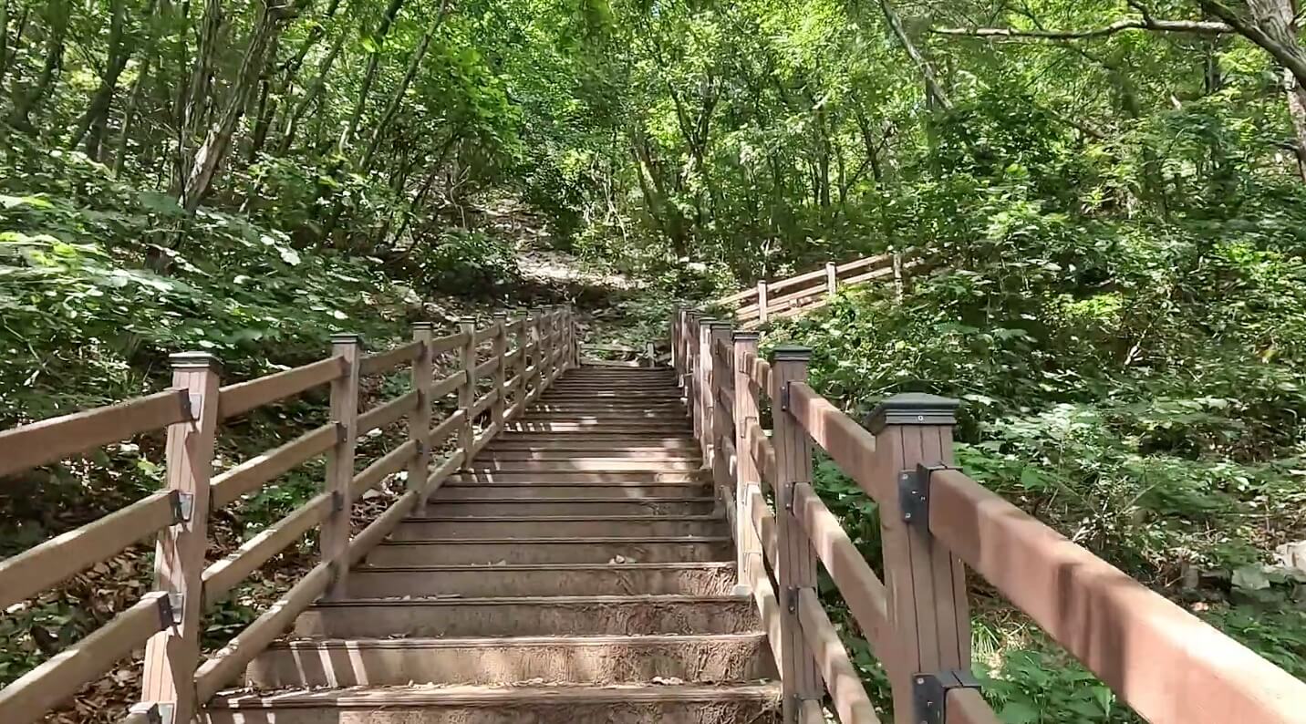 황금산코끼리바위