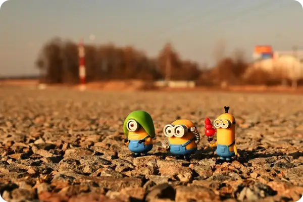 2025 미니언즈 마라톤