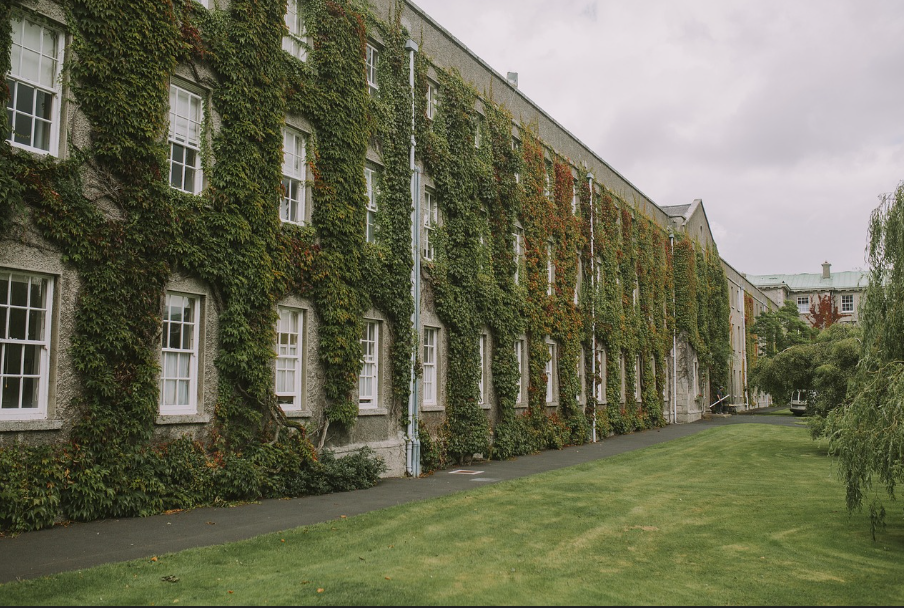 인깋ㄱ과 순위 관련 사진