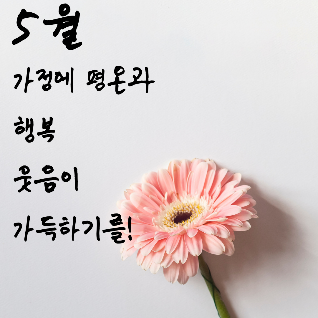 5월 인사말 문구 모음집 이미지