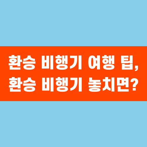 환승 비행기 여행 팁, 환승 비행기 놓치면?