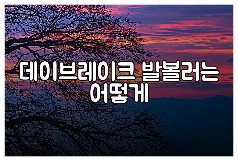 데이브레이크 발볼러는 어떻게