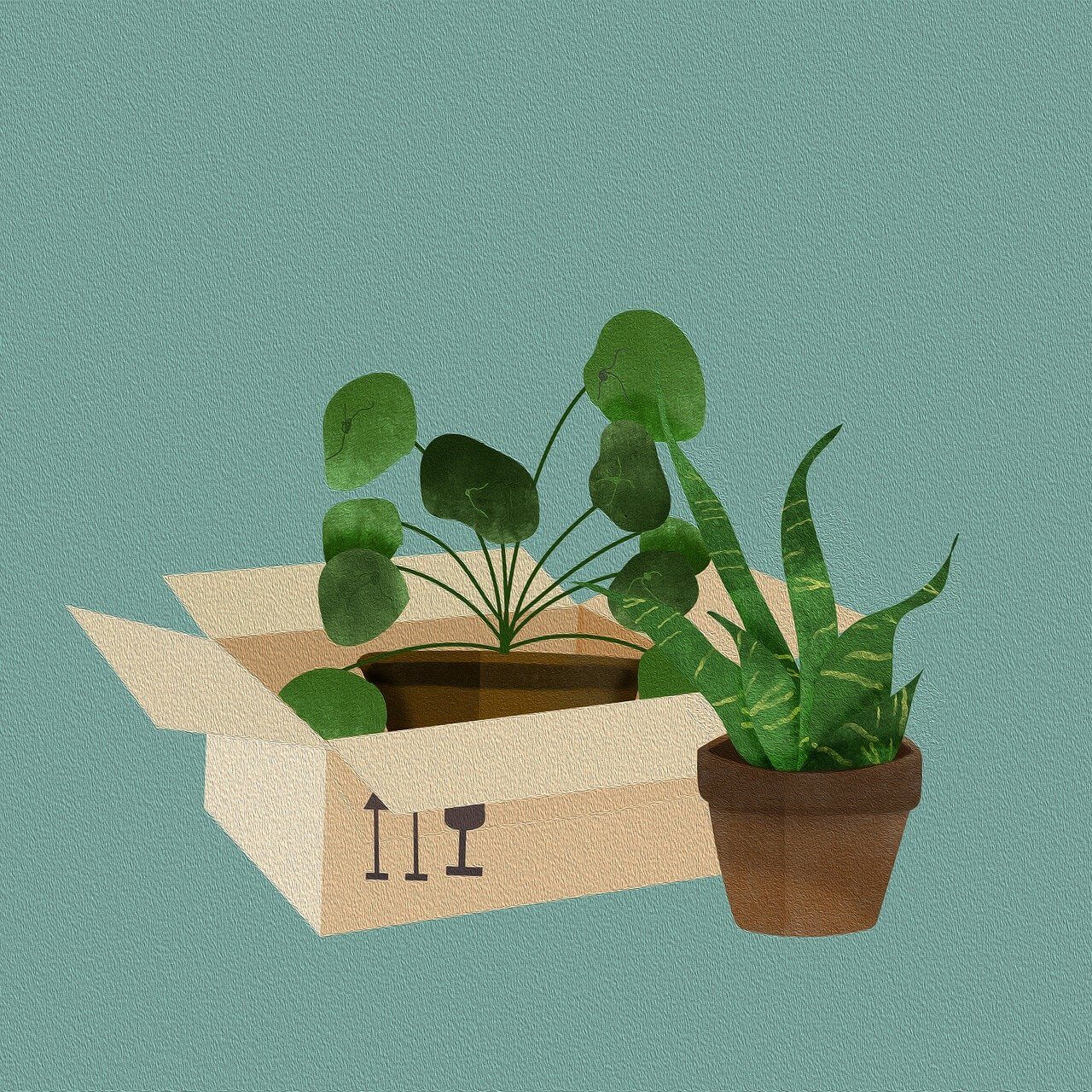 운을 높이는 이사 가는날 준비해야 할 팁