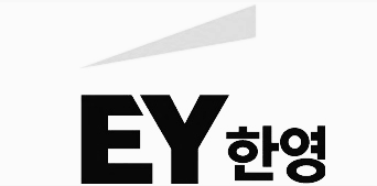 국내 4대 회계 법인 (한영 EY)