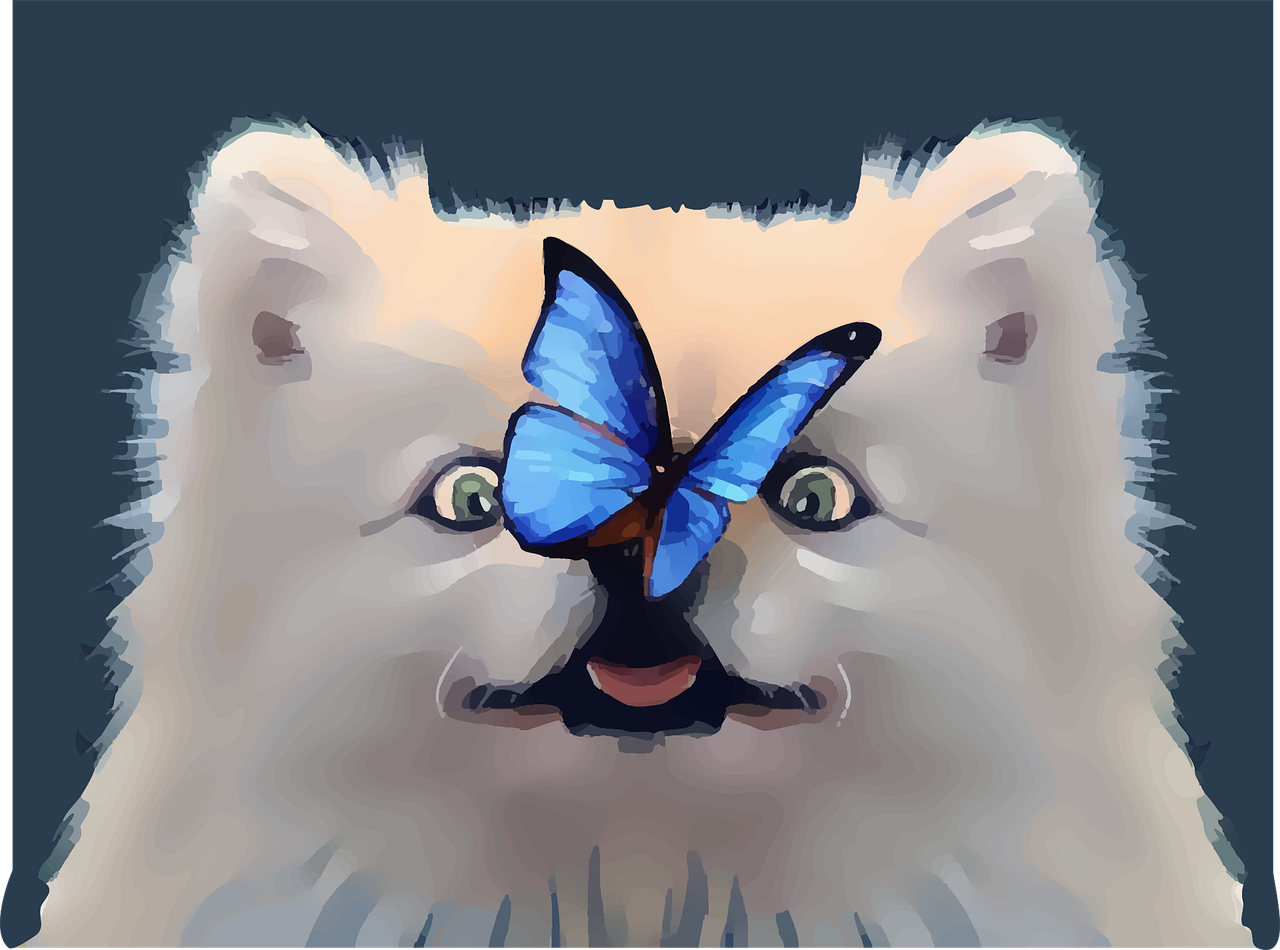 강아지 코에 나비가 앉아 있다.