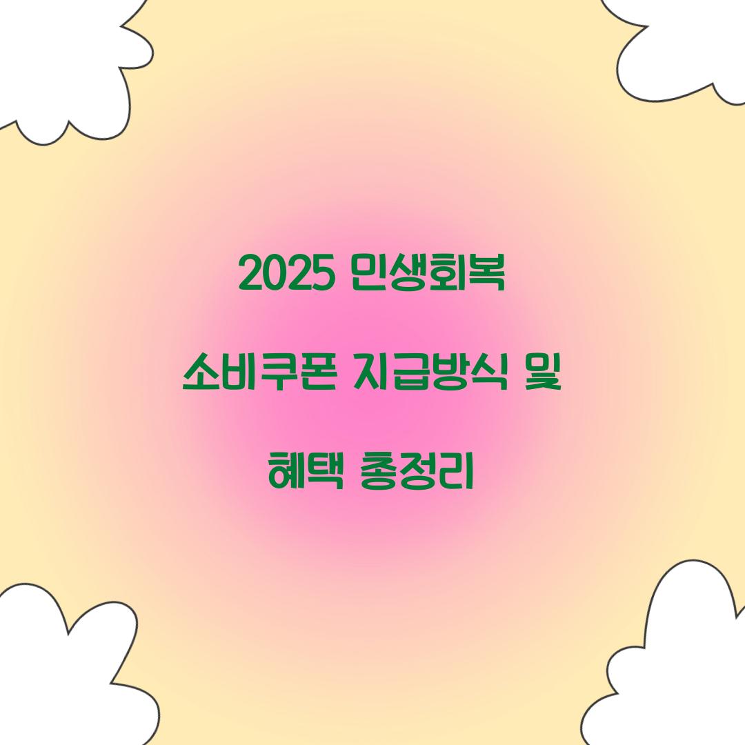 2025 민생회복 소비쿠폰 지급방식