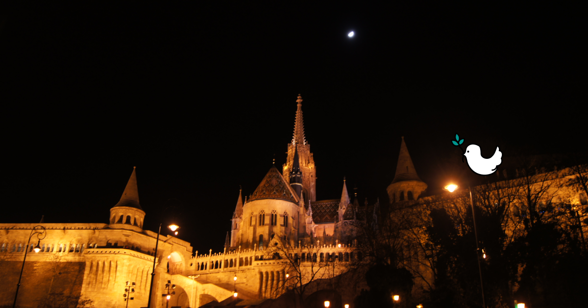 부다페스트어부의요새-밤