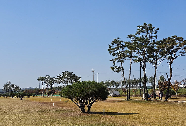 경상북도 예천군 한천파크골프장 소개