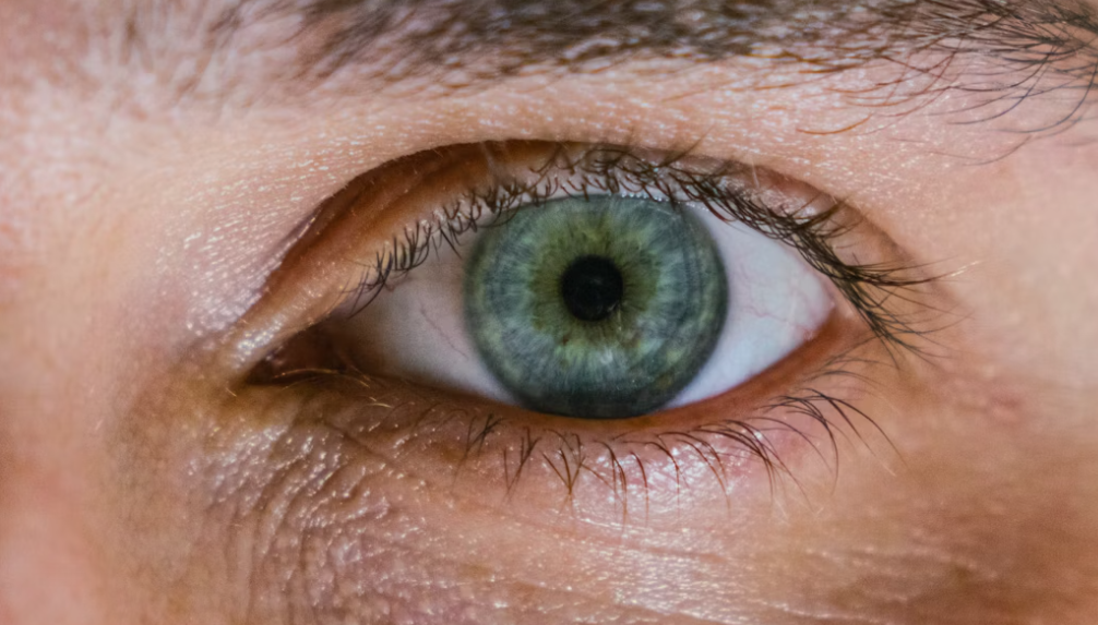 백내장 수술 안 하면? 방치 시 위험성과 최신 수술 정보