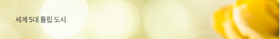 태안 세계 튤립 축제