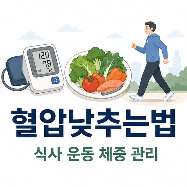 혈압계와 건강한 식사, 걷기 운동을 함께 배치해 생활습관으로 혈압을 관리하는 방법을 표현한 이미지