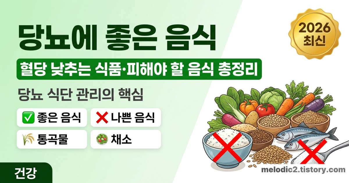 당뇨에 좋은 음식 나쁜 음식 혈당 낮추는 식품 2026 총정리 안내