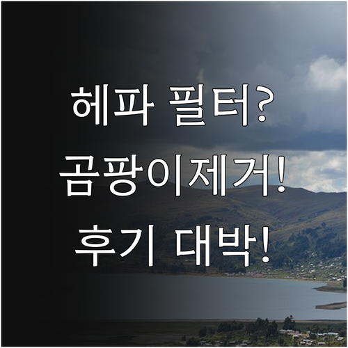 HEPA 필터 공기청정기 곰팡이 제거..