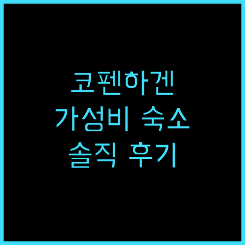 캐빈 코펜하겐 방문 후기, 가성비 좋..