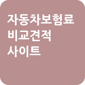 자동차보험료 비교견적 사이트