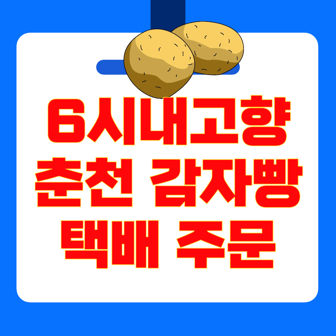 [6시 내고향] 춘천 감자빵 택배 주문 방법! 감자아일랜드·7남매 수제빵 위치·메뉴 총정리