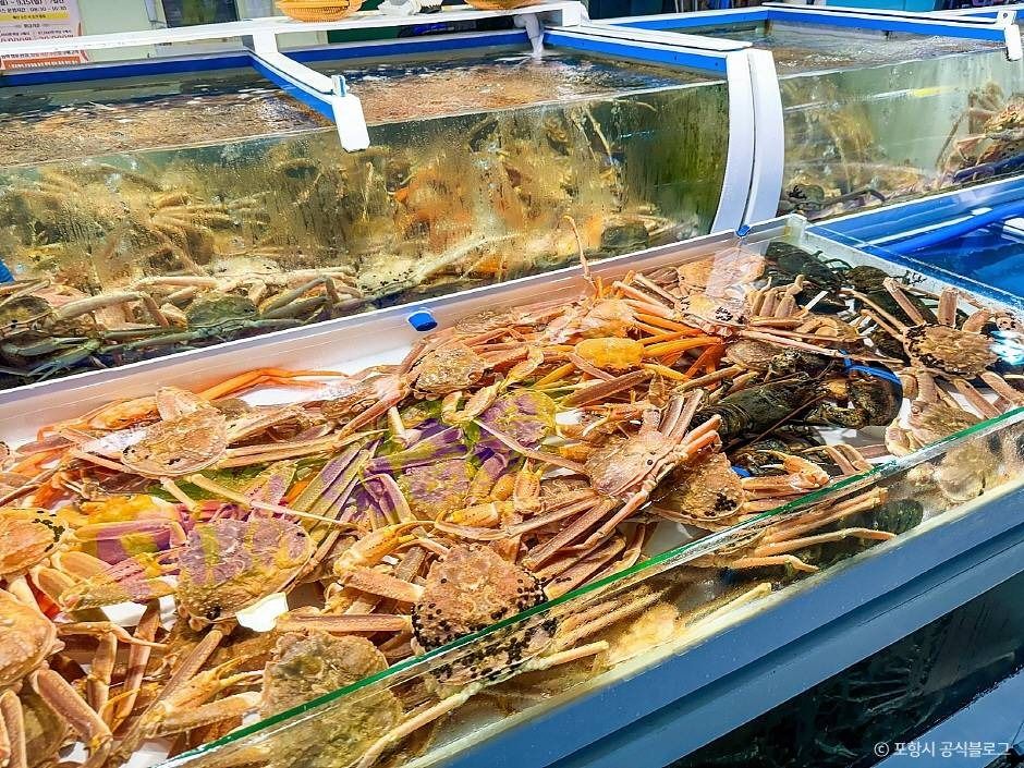 포항 가볼만한곳 베스트10