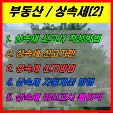 부동산 상속세(2)