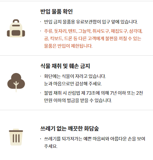 화담숲 단풍 절정