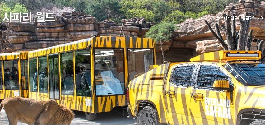 에버랜드 큐패스(Q-PASS) - 사파리