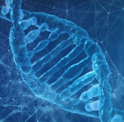 DNA