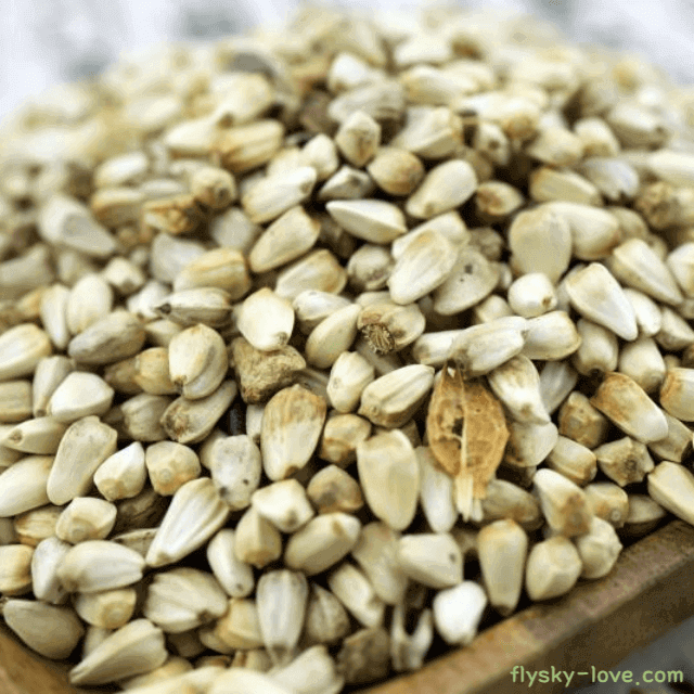 뼈 건강에 좋은 홍화씨