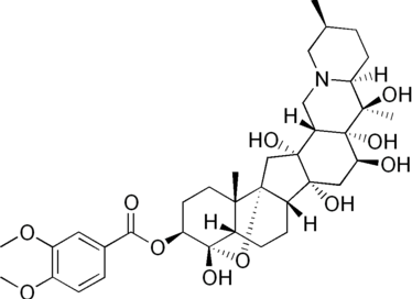 나도여로의 주요 성분