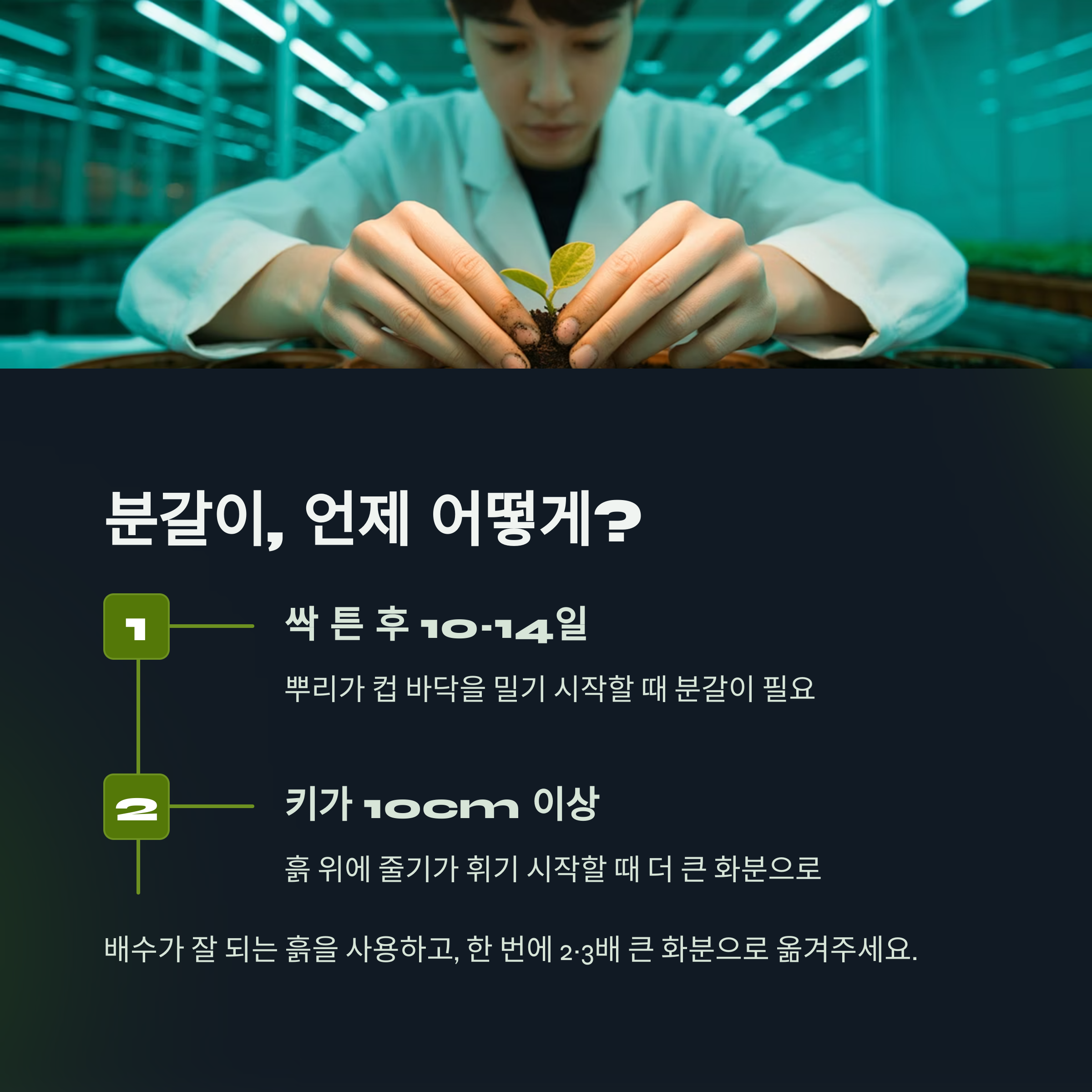 흙과 분갈이, 언제 어떻게 해줘야 할까?
