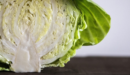 장건강에 좋은 음식 : 양배추