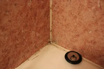 욕실 곰팡이 락스 희석비율과 안전수칙 환기방법_2