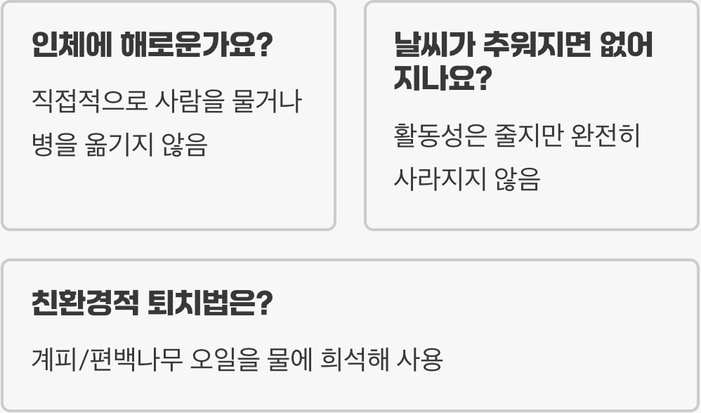 먼지다듬이 완벽 가이드 – 원인, 퇴치, 예방까지 총정리
