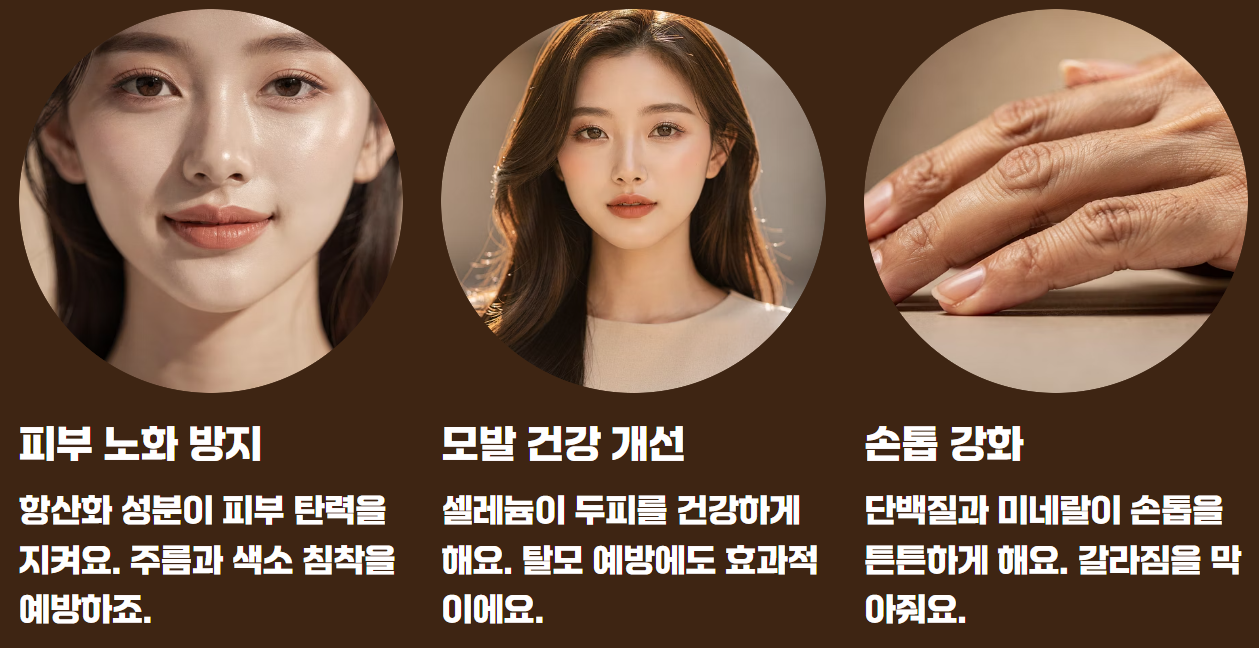 브라질너트 효능