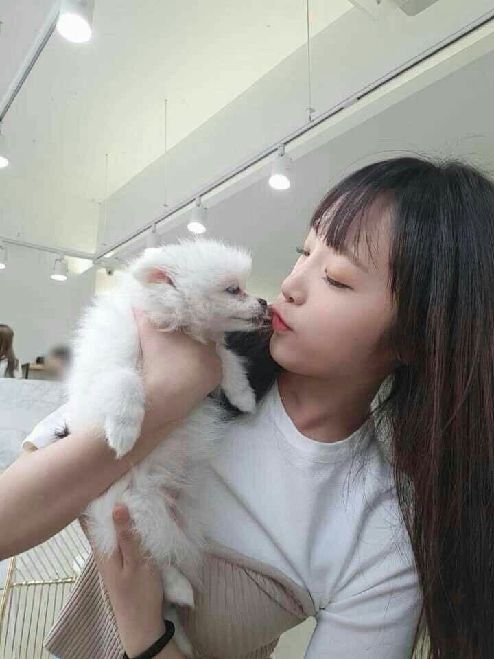 아이즈원 최예나 귀여운 매력어필