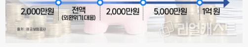 예금자보호법 1억 시행시기 시행일 언제