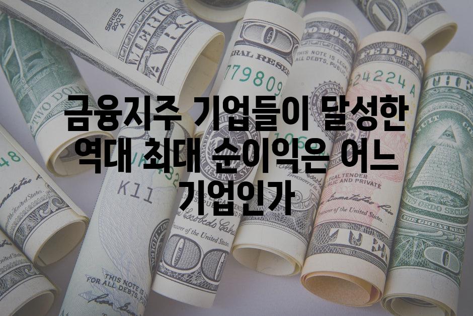 금융지주 기업들이 달성한 역대 최대 순이익은 어느 기업인가