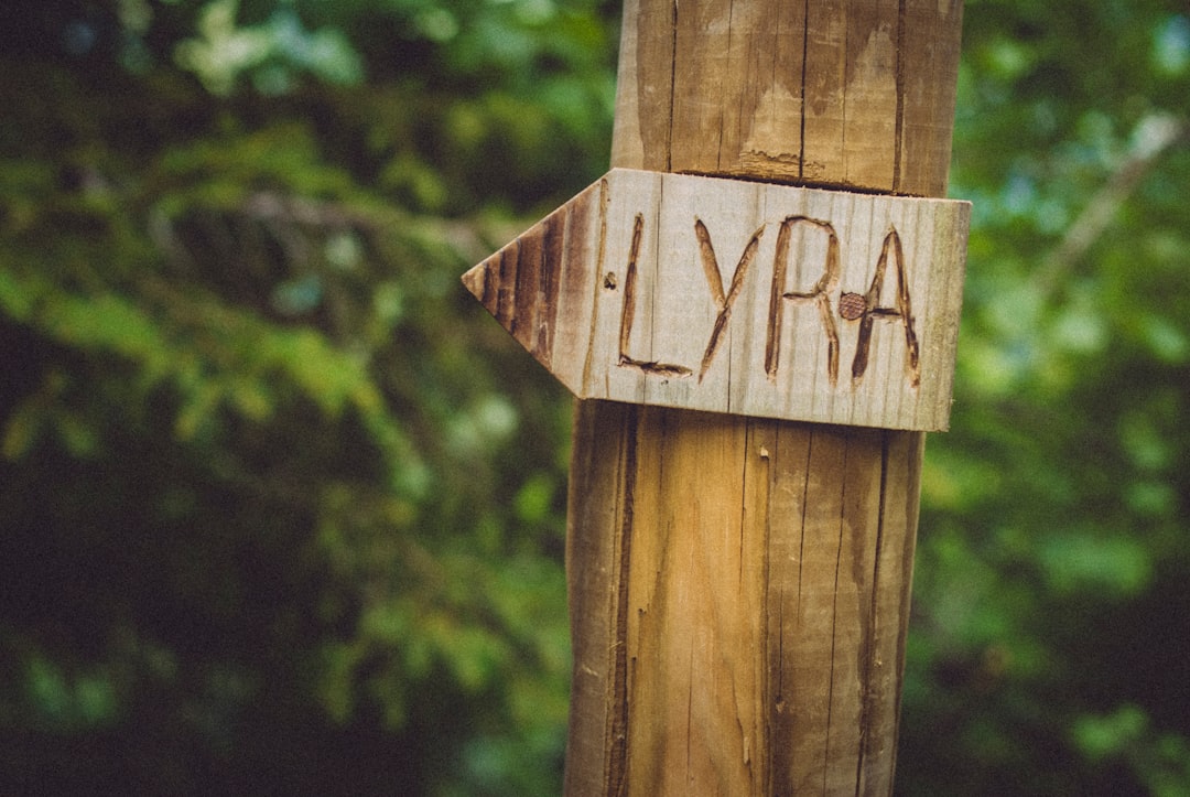 Lymphoma