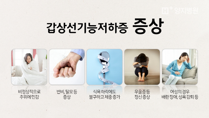갑상선
