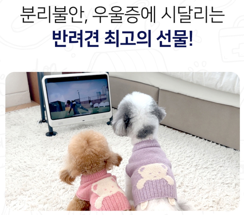 강아지-TV