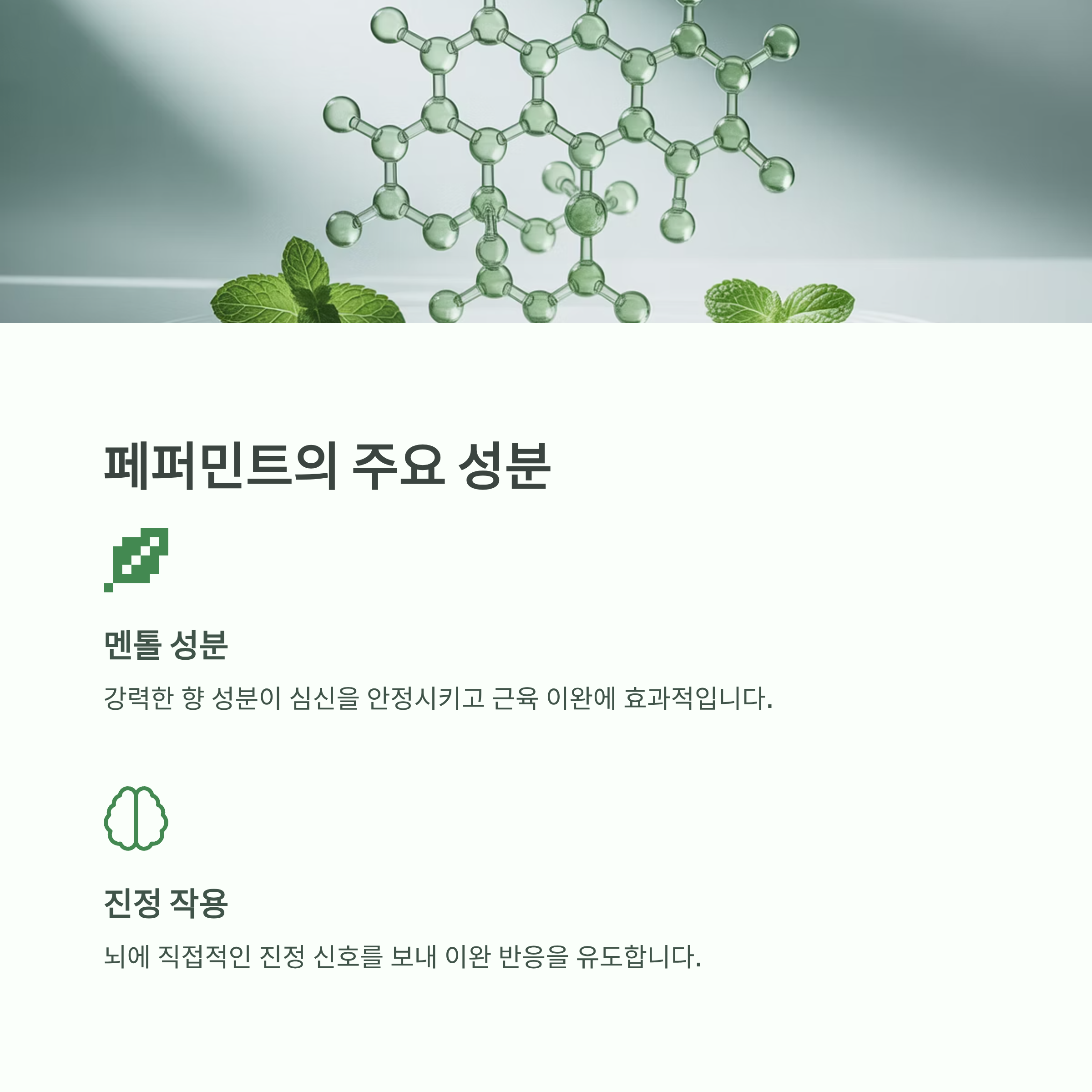 페퍼민트 허브차의 주요 성분과 작용 원리