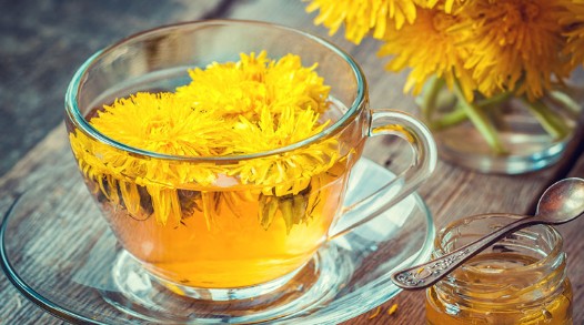 장에 좋은 차 / 장염에 좋은 차 - 민들레차 효능